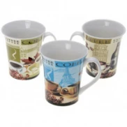 coc-cafe-95105cm-4m-dong-lan