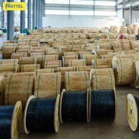 cap-quang-6fo-ong-long