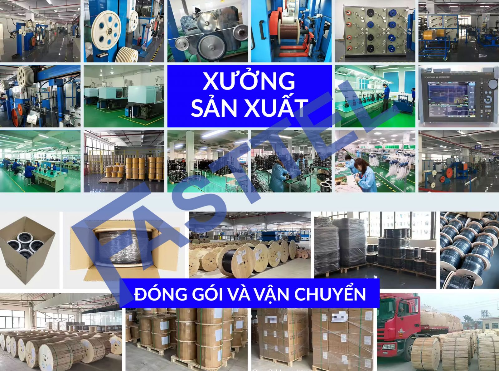kho san pham fasttel